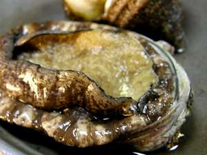 Abalone and Spiny Lobster House Tamaya Main Image Abalone and Spiny Lobster House Tamaya, Toba